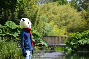 Costume de panda dans la nature